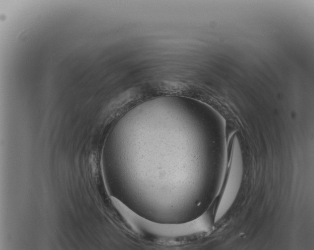 X0000086320131200704091122