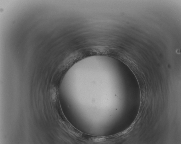 X0000086320132200704091122