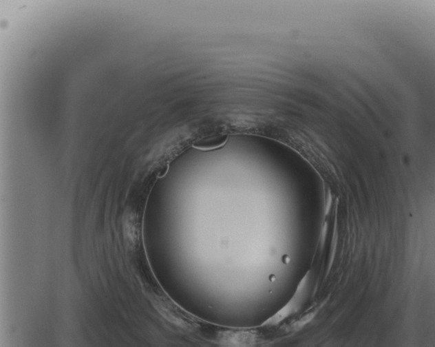 X0000086320135200704091122