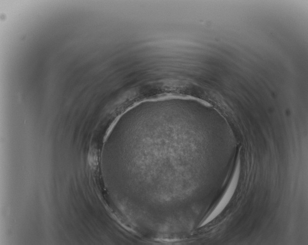 X0000086320137200704091122