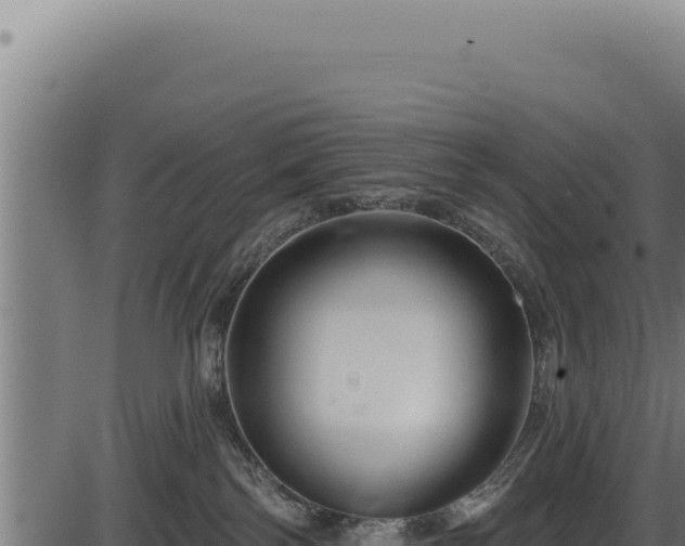 X0000086320138200704091122