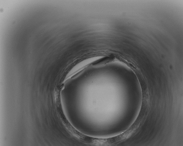 X0000086320139200704091122