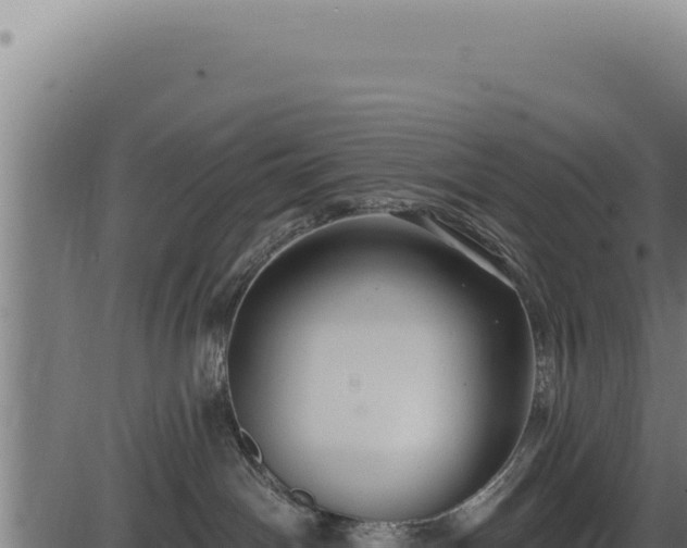 X0000086320142200704091122