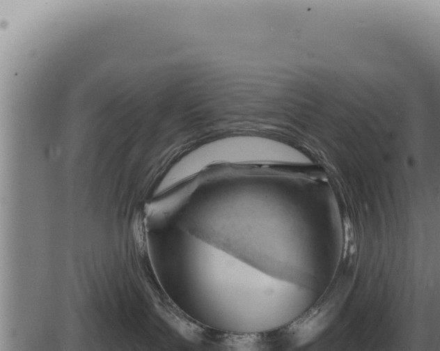 X0000086320143200704091122