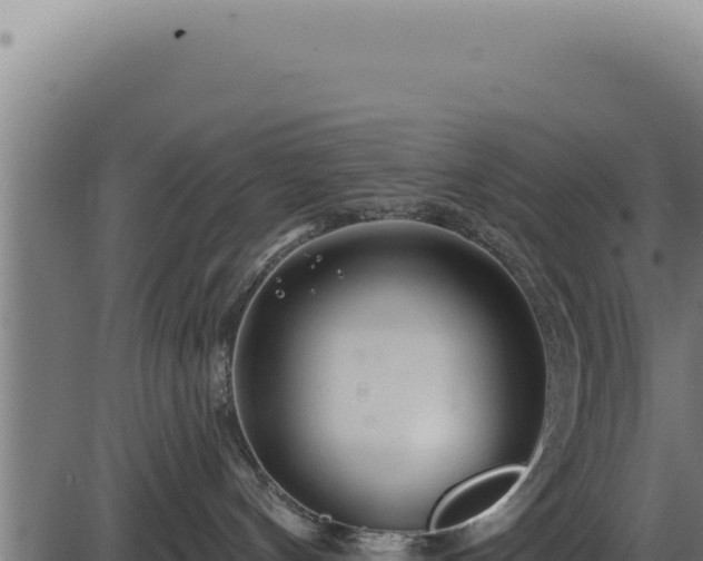 X0000086320144200704091122