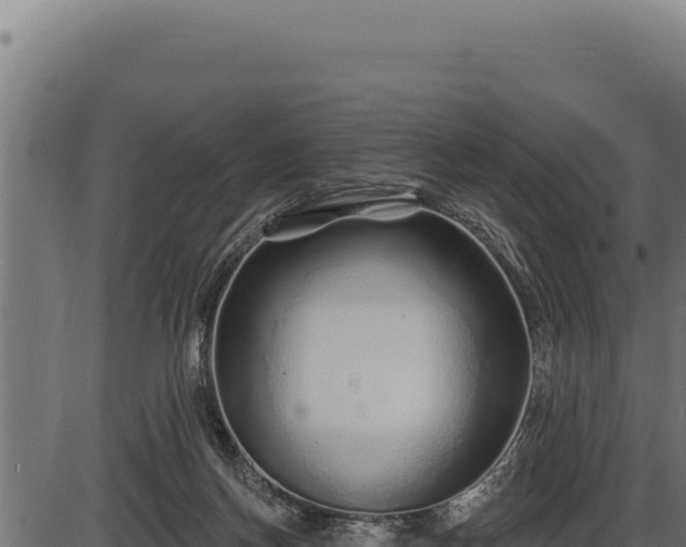 X0000086320166200704091122