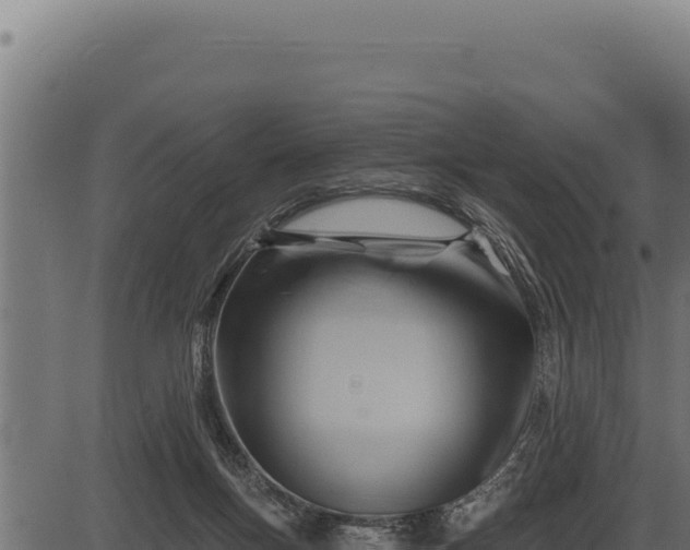 X0000086320167200704091122