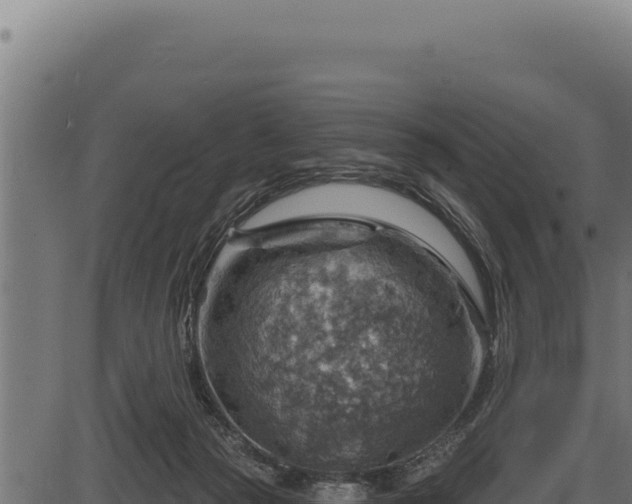 X0000086320169200704091122