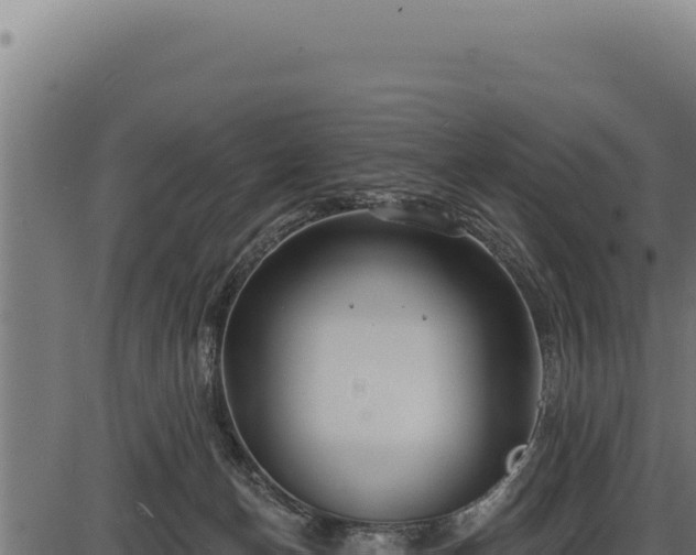 X0000086320174200704091122