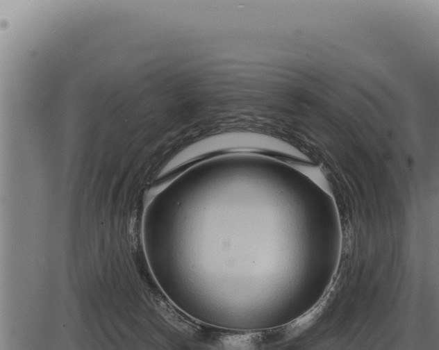 X0000086320178200704091122