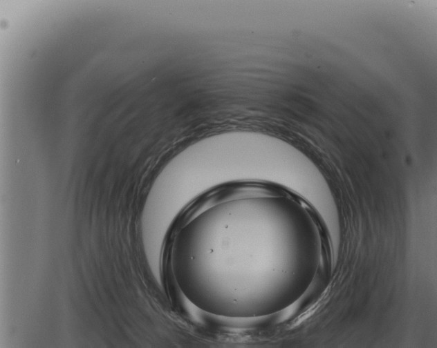 X0000086320180200704091122