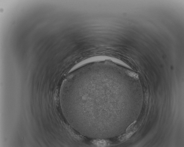 X0000086320181200704091122