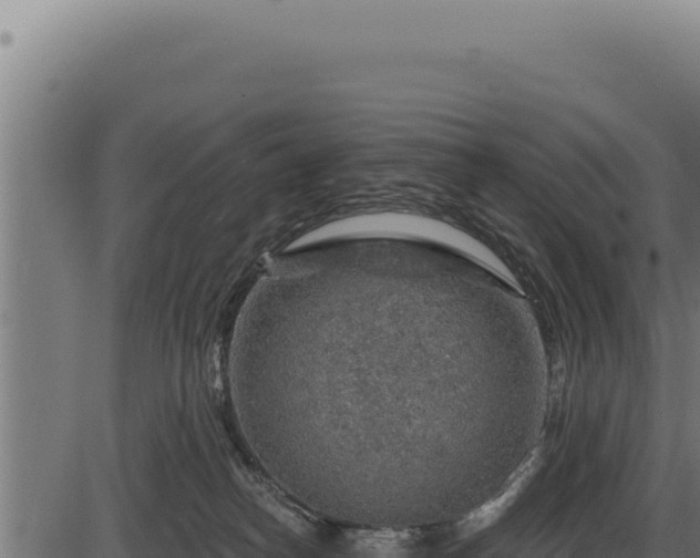 X0000086320182200704091122