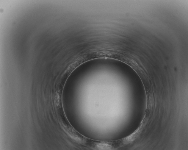 X0000086320183200704091122