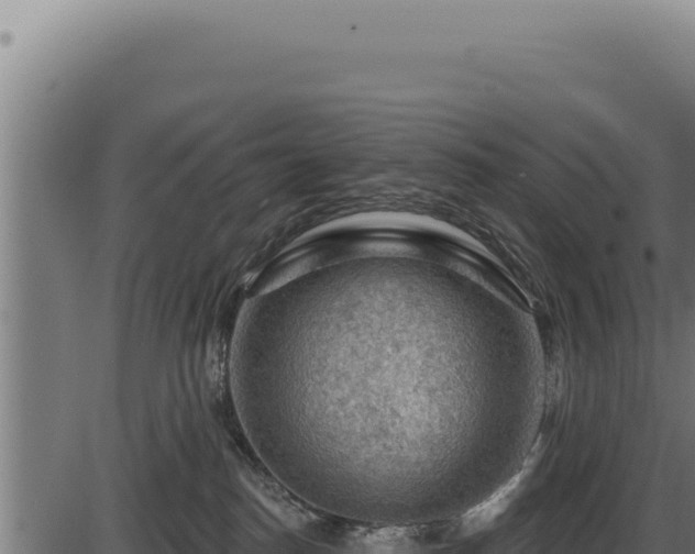 X0000086320186200704091122