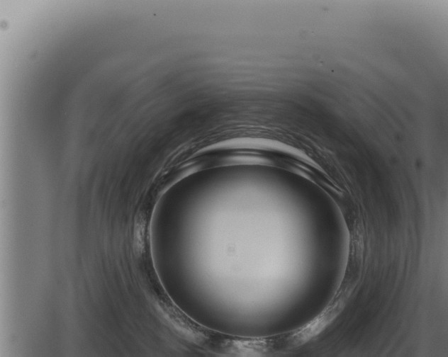 X0000086320188200704091122