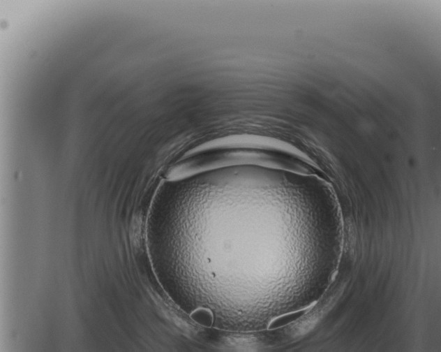 X0000086320189200704091122