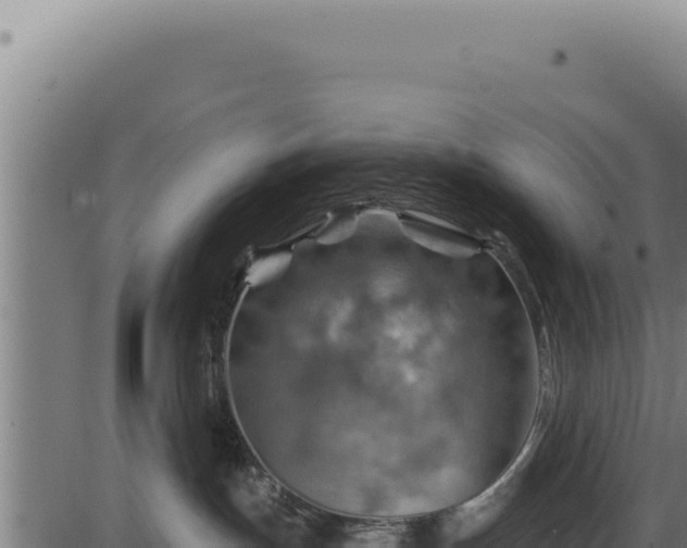 X0000086320191200704091122