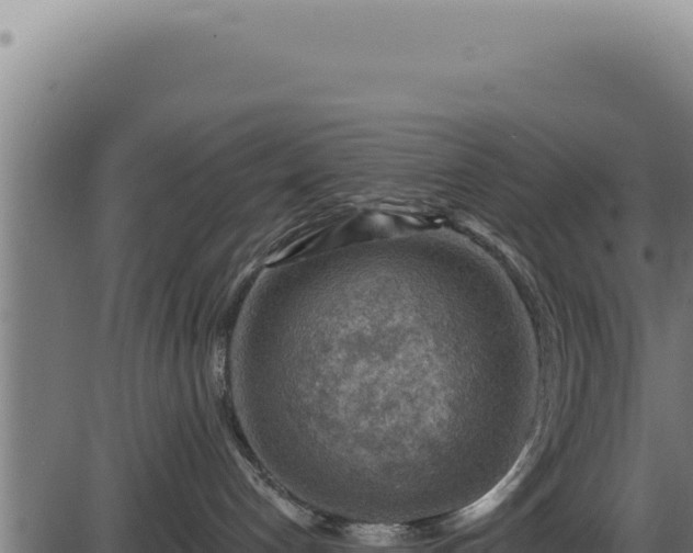 X0000086320192200704091122