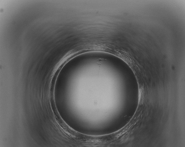 X0000086320195200704091121