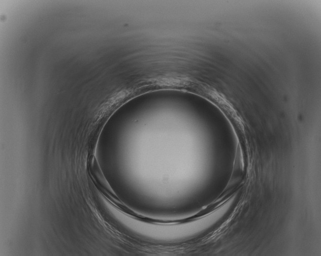 X0000086320201200704091121