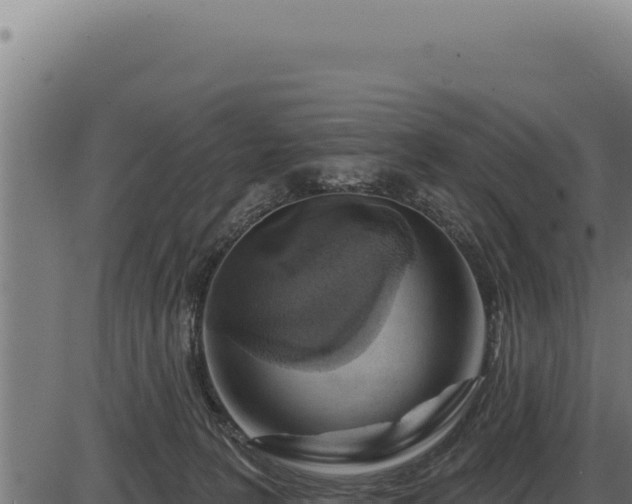 X0000086320227200704091121