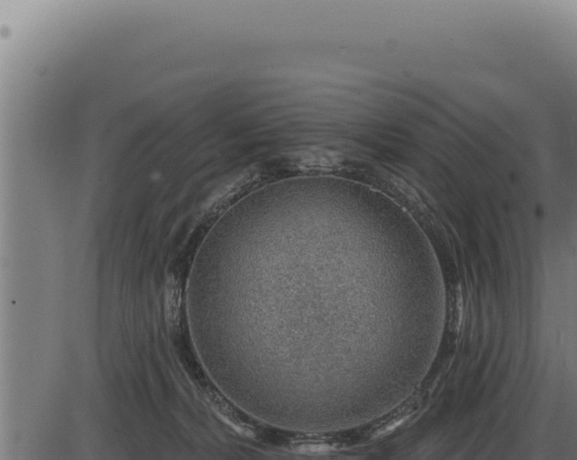 X0000086320228200704091121
