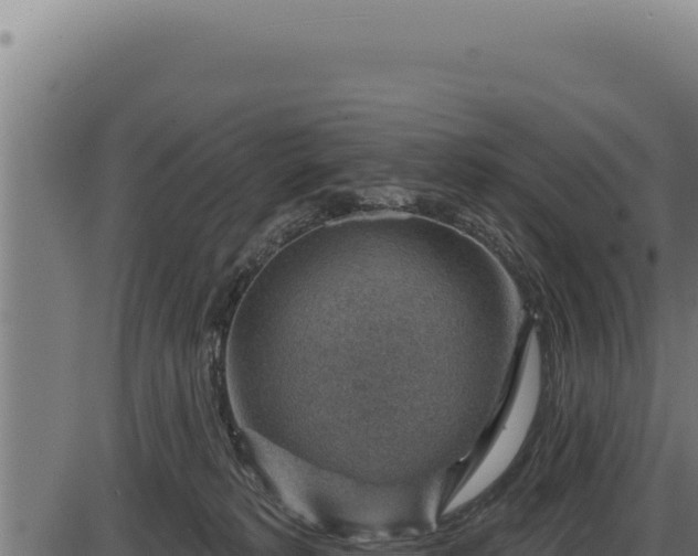 X0000086320229200704091121