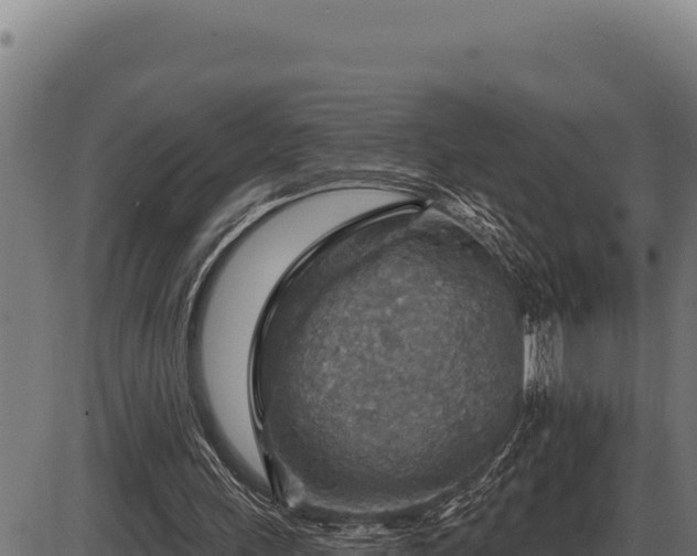 X0000086320243200704091120