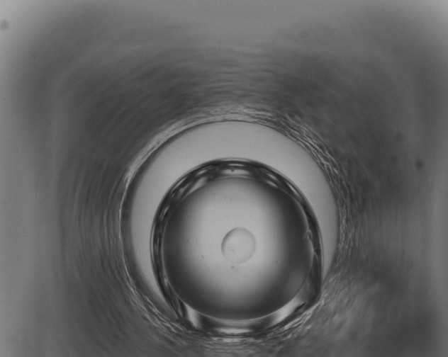 X0000086320244200704091120
