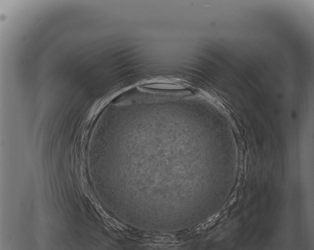 X0000086320337200704091118