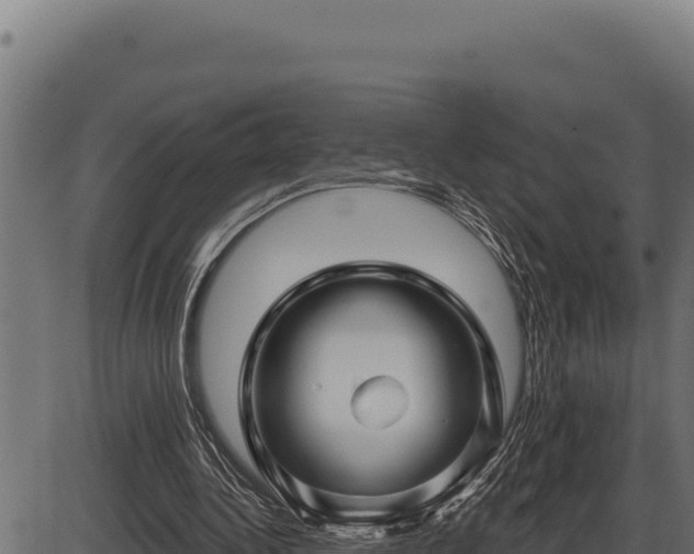 X0000086320340200704091118