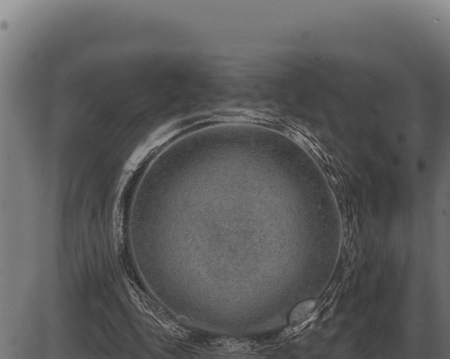 X0000086320343200704091118