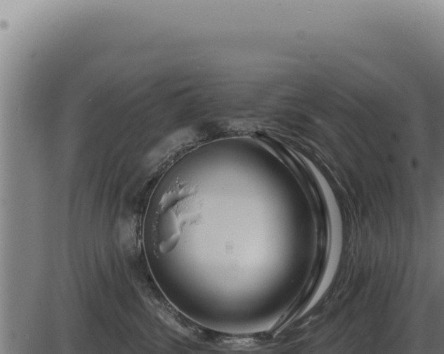 X0000086320428200704091117