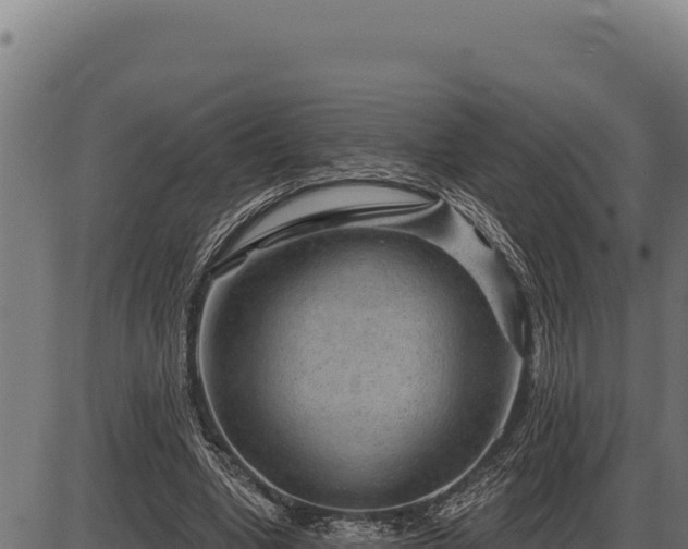 X0000086320442200704091116