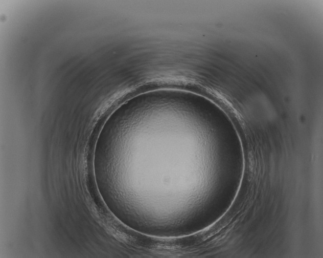 X0000086320487200704091116