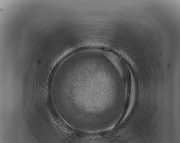 X0000086320488200704091116