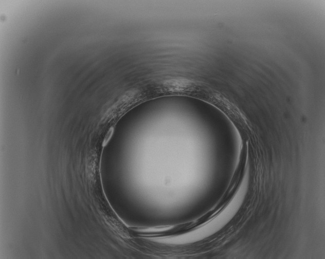 X0000086320509200704091116