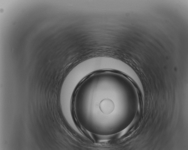 X0000086320568200704091115