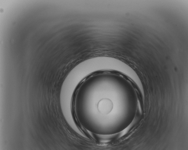 X0000086320570200704091115