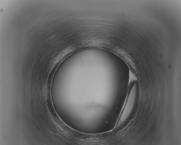 X0000086320578200704091115