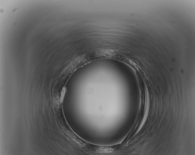 X0000086320617200704091114
