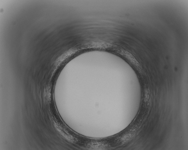 X0000086320632200704091113