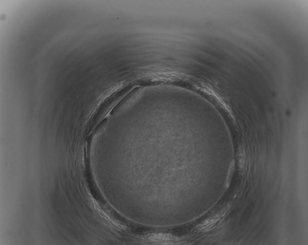 X0000086320637200704091113