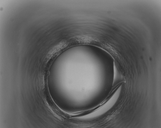 X0000086320638200704091113