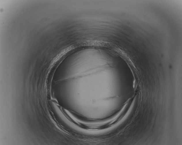 X0000086320674200704091113