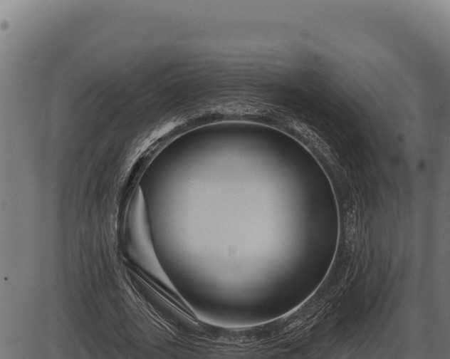 X0000086320727200704091112