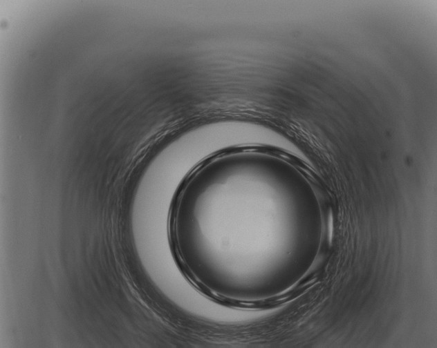 X0000086320744200704091112