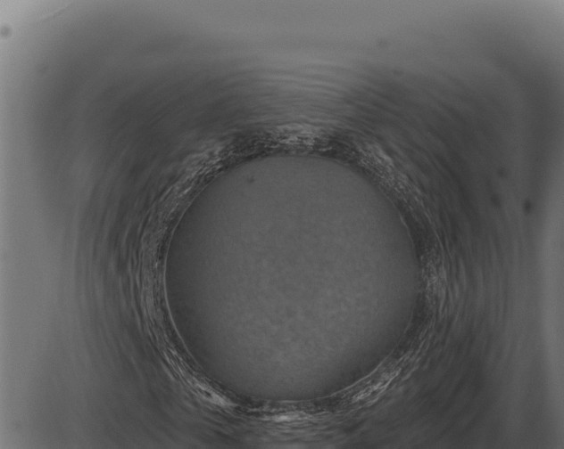 X0000086320769200704091111