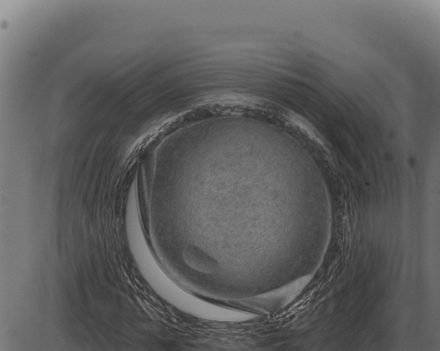 X0000086320775200704091111